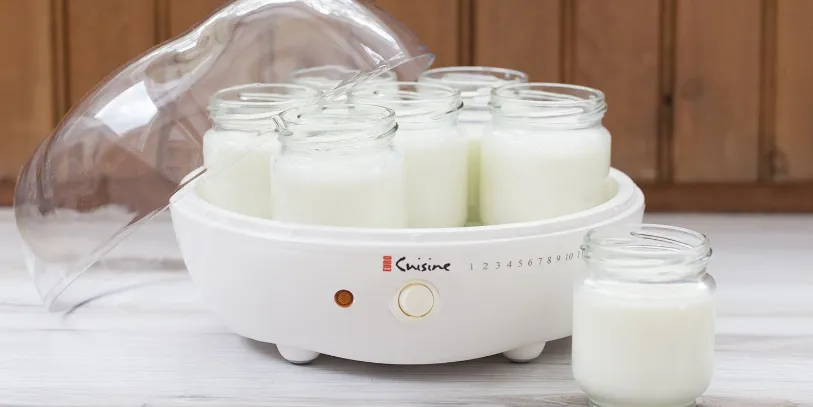 Yogurt Maker YM80