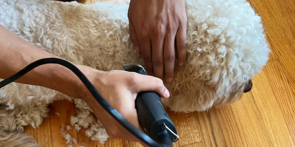 Animal Grooming Kit 