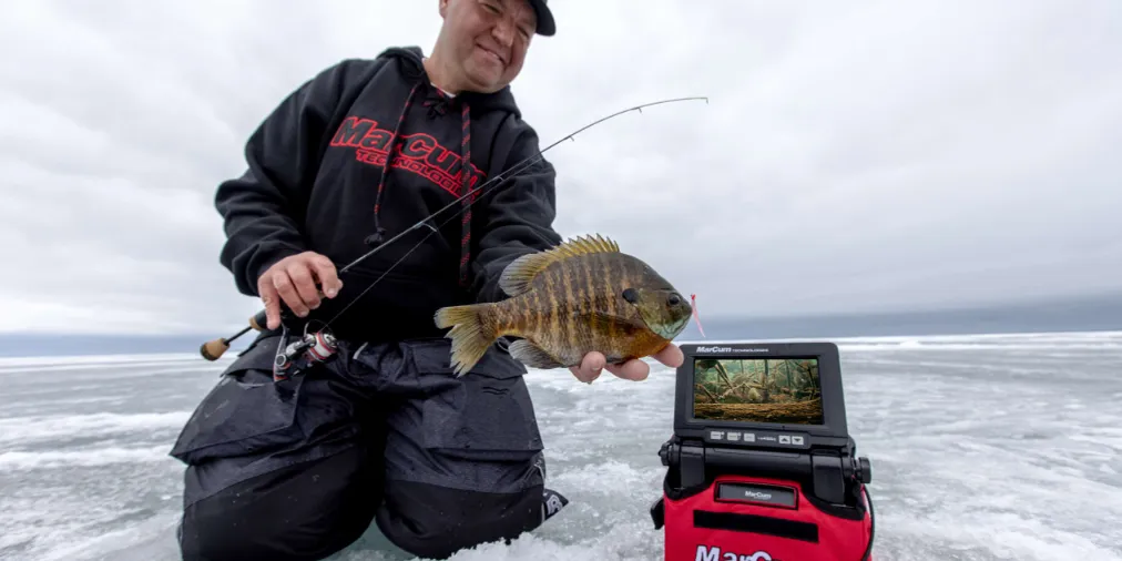 Underwater Viewing System VS485C 