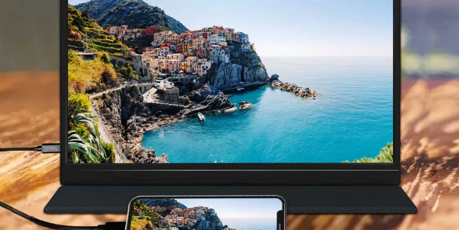 Portable Monitor J173FH10F 