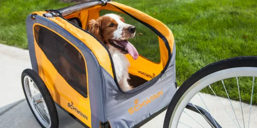 Rascal Pet Trailer 13-SC315