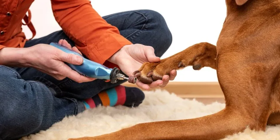Gentle paws nail grinder