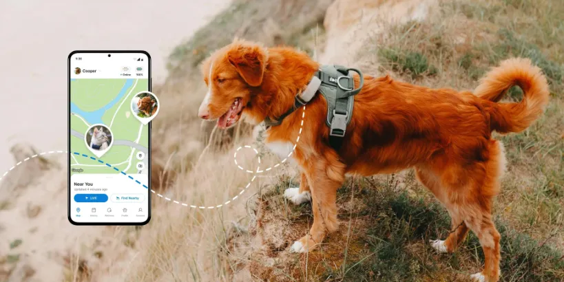 GPS Dog Tracker