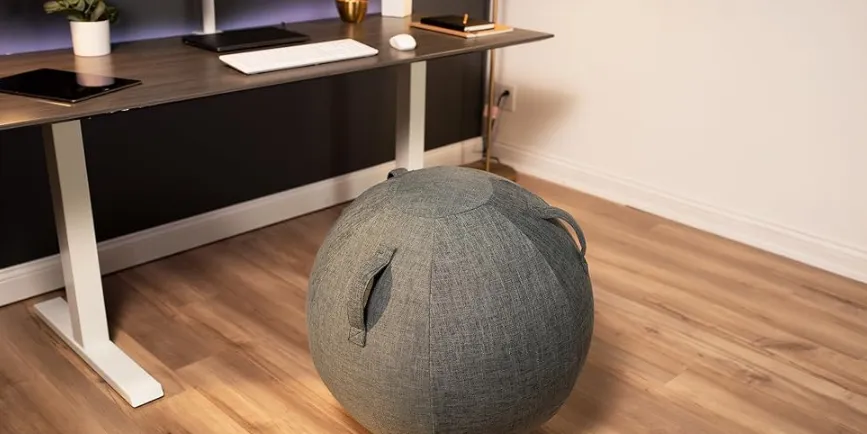Gray Yoga Ball Chair BL01G
