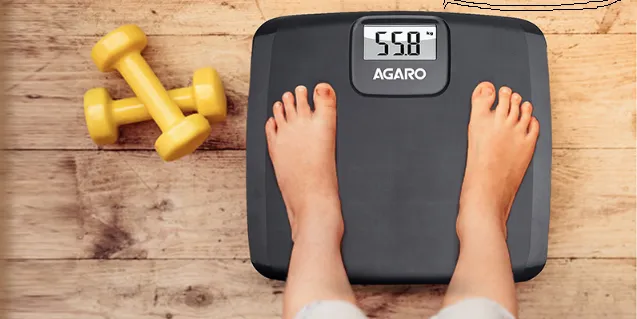 Electronic Weighing Scale WS-501