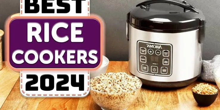 Best Rice Cookers of 2024