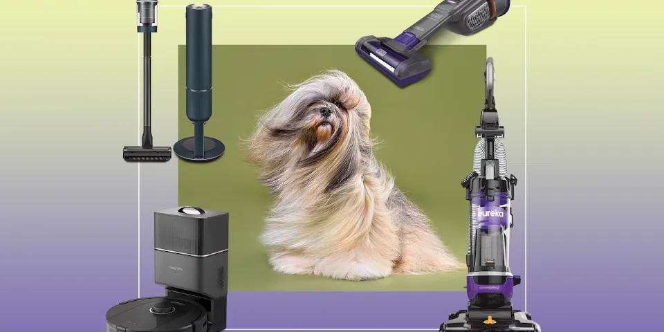 Top 10  Robot Vacuums for Pet Hair 2025