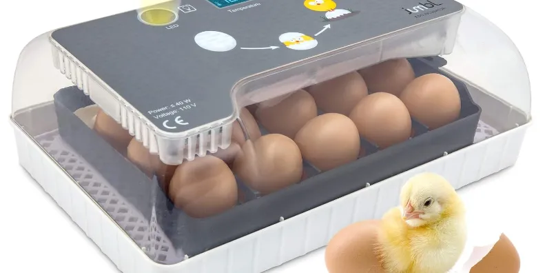 Egg Incubator JUMBINCBT12