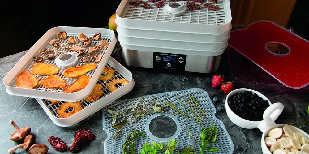 Food Dehydrator 32100