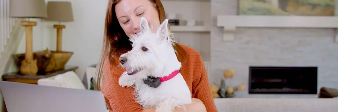 How it works: Petsafe Bark Control Collar for Dogs Instruction Guide