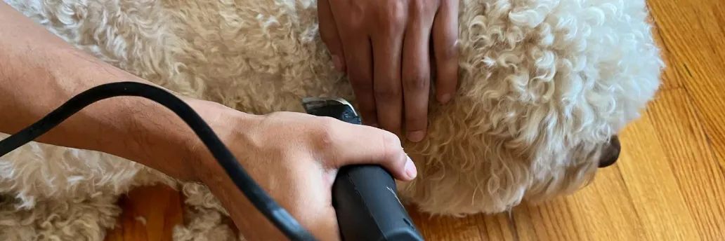 How to Operate: Wahl Animal Grooming Kit Instruction Manual