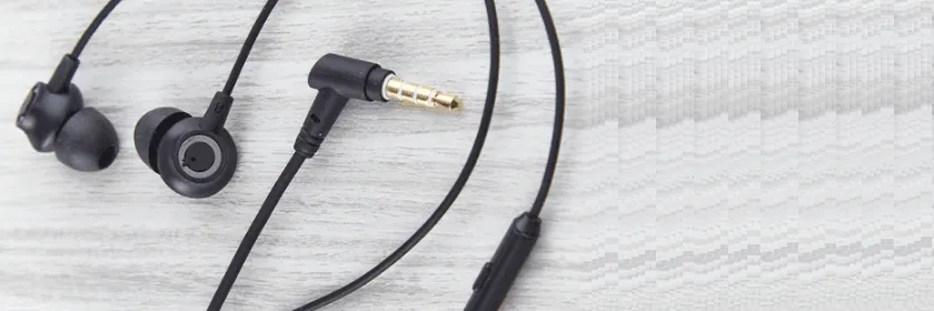 Blaupunkt Earphone EM-10 Complete Guide