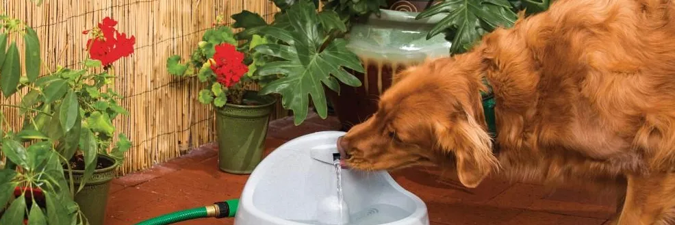 Drinkwell Everflow Petsafe Fountain | Operating Instructions