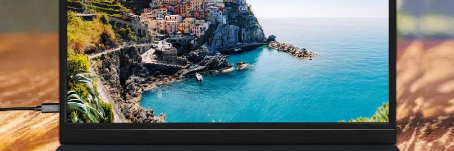 Cocopar Portable Monitor J173FH10F  User Guide