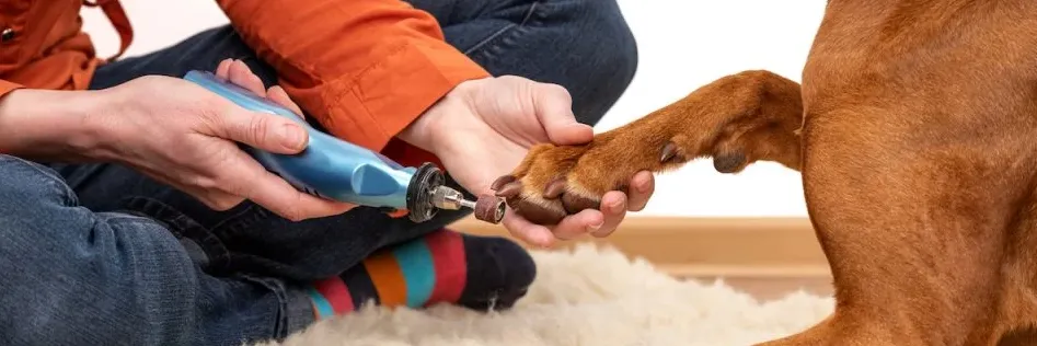 How to Use: Oster Gentle paws nail grinder Instruction Guide