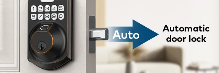 Teeho Keypad Deadbolt Fingerprint TE002 Instructions