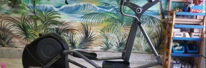 Life Fitness Cross-Trainer X1 Elliptical Owner Manual