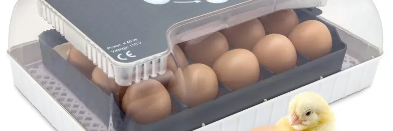 Jumbl Egg Incubator JUMBINCBT12 User Guide | Features