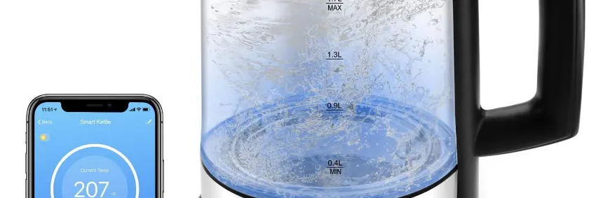 Korex Smart Kettle AX-WF306 User Manual | Controls and features