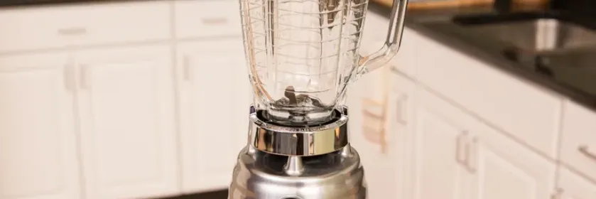 Oster Osterizer Classic Blender User Manual | Usage