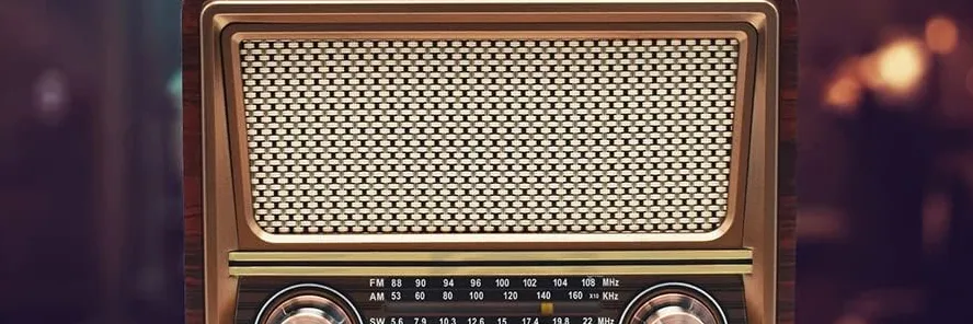Fuseaudio Wooden FM Radio Bluetooth RAD-V1 User Manual