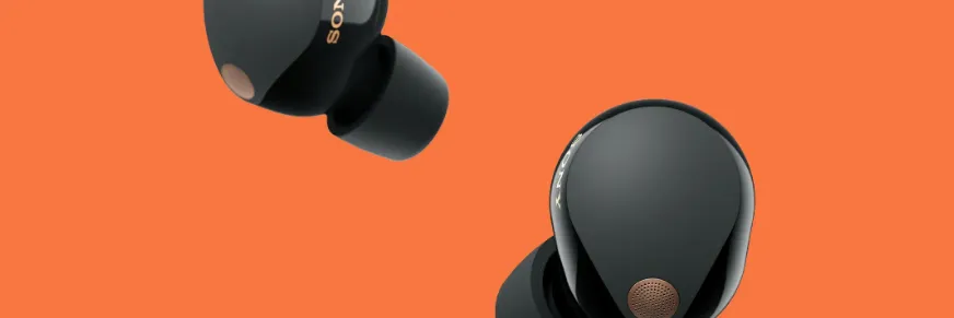 Sony Wireless Noise Cancelling Headset WF-1000XM5 User Guide