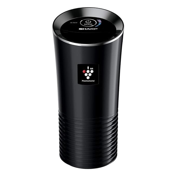 sharper_image_ionic_car_air_purifier.jpg