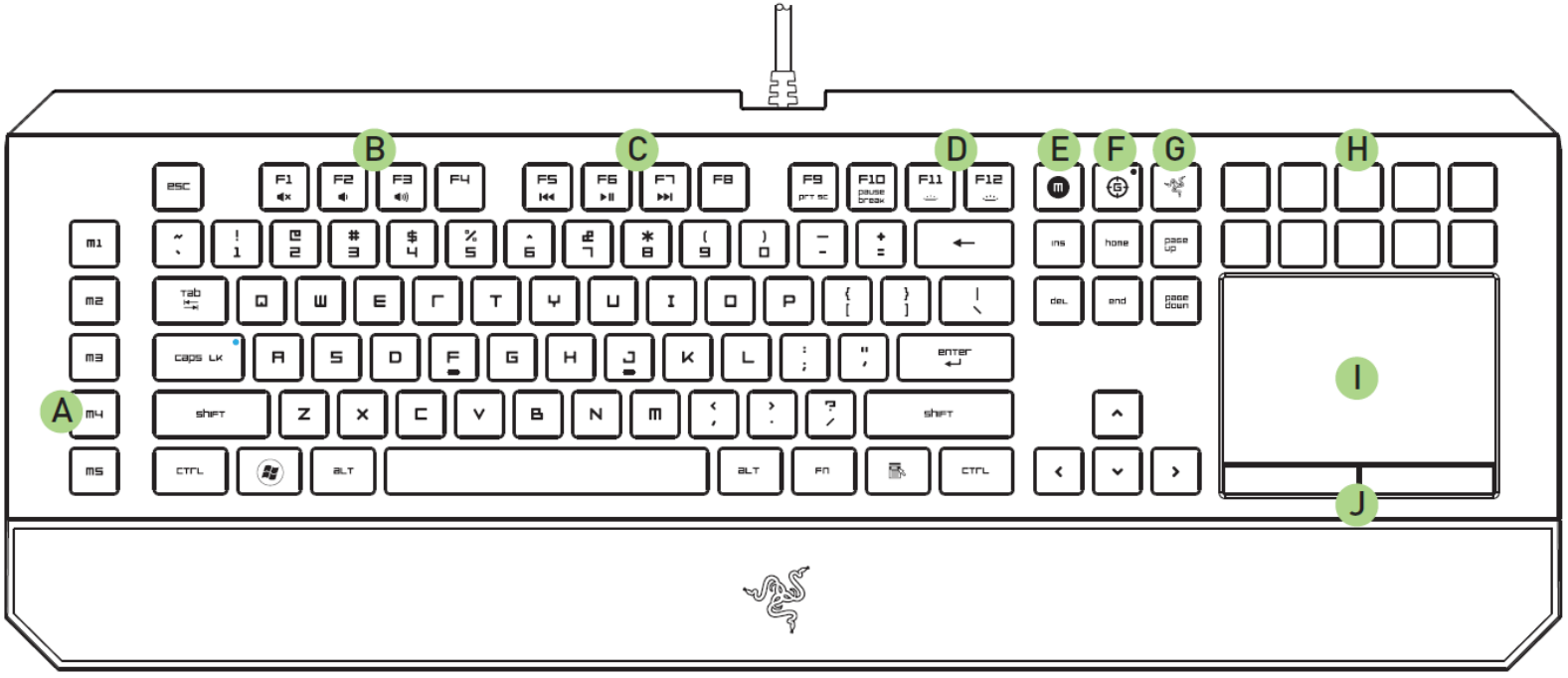 device_layout_razer_deathstalker_ultimate_eute_gaming_keyboard.png