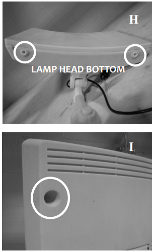 carex_day-light_lamp_dl93011-removing_light_tubes.png