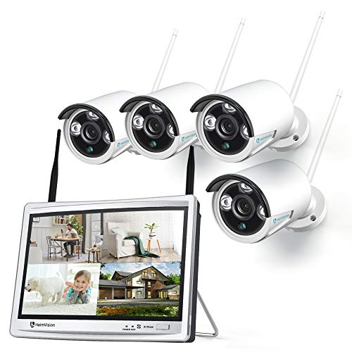 heimvision_hm243_nvr_security_camera.jpg