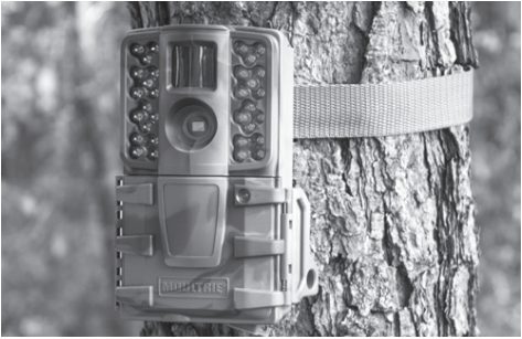 moultrie_a-series_digital_game_camera.mounting_with_a_strap.png