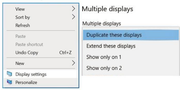 cocopar_portable_monitor_j173fh10f-using_the_duplicate.png