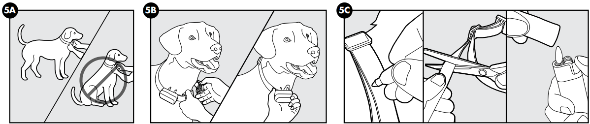 fit_the_receiver_collar_petsafe_wireless_containment_system_pif-300.png