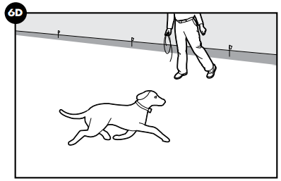 petsafe_wireless_training_containment_system_pif-300.png