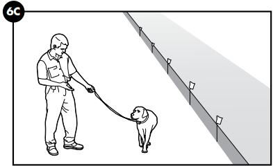 training-petsafe_wireless_containment_system_pif-300.png