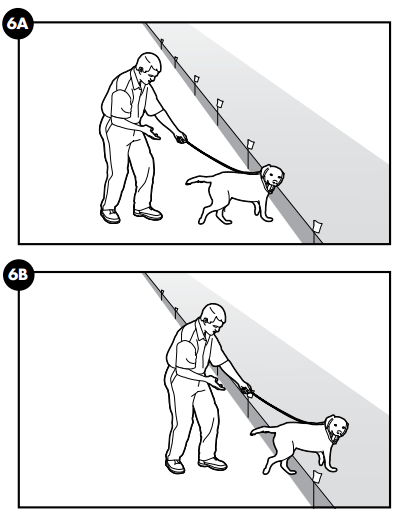 training_petsafe_wireless_containment_system_pif-300.png