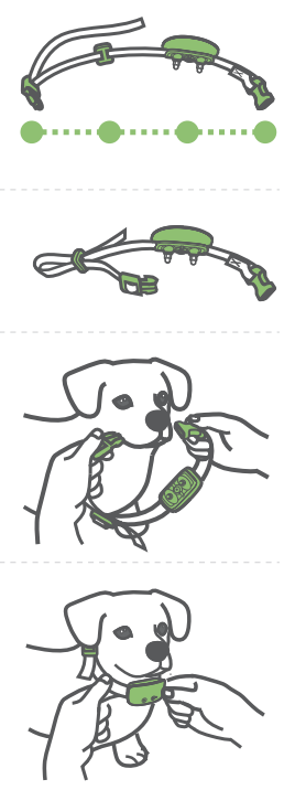 buuoc_bark_training_collar_pt-tc02-how_to_wear.png