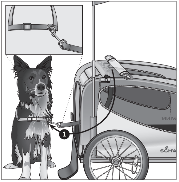 schwinn_rascal_pet_trailer_13-sc315-using_the_pet_trailer.png