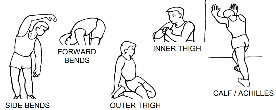 exercise_guidelines_marcy_fan_bike_ns-1000.png