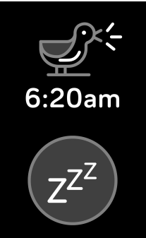 dismiss_or_snooze_an_alarm_fitbit_stopwatch_charge_3.png