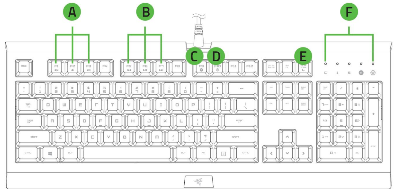 device_layout_razer_cynosa_v2_gaming_keyboard.png