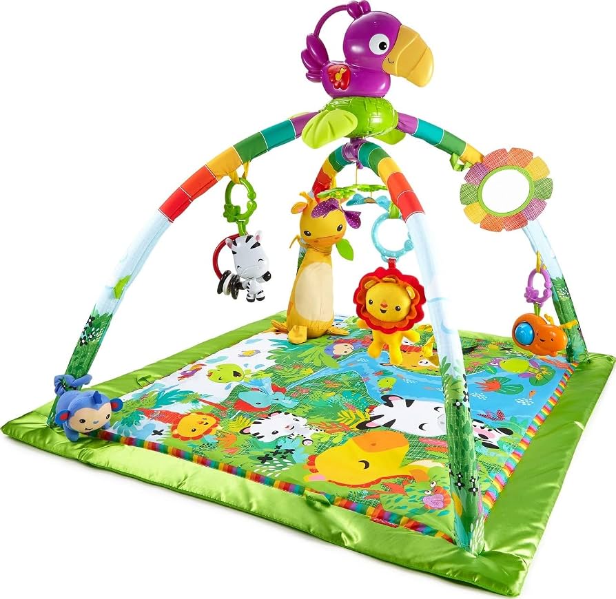 fisher-price_baby_play_mat_dfp08.jpg