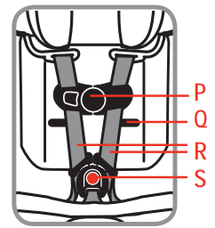 harness_system_detail_facing_safety_1st_grow_and_go_car_seat.png