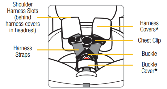 harness_system_detail_dorel_juvenile_magellan_convertible_car_seat_cc280fgq.png