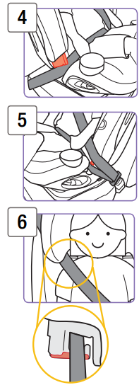 lap-shoulder_belt_use_dorel_juvenile_magellan_convertible_car_seat_cc280fgq.png