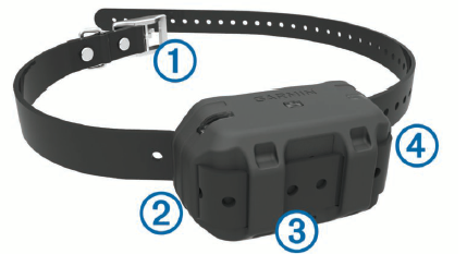 attaching_the_dog_collar_garmin_dog_collar_device_strap_pro_550.png