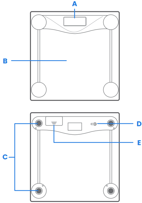 function_diagram_of_etekcity_digital_body_weight_scale_eb4074c.png