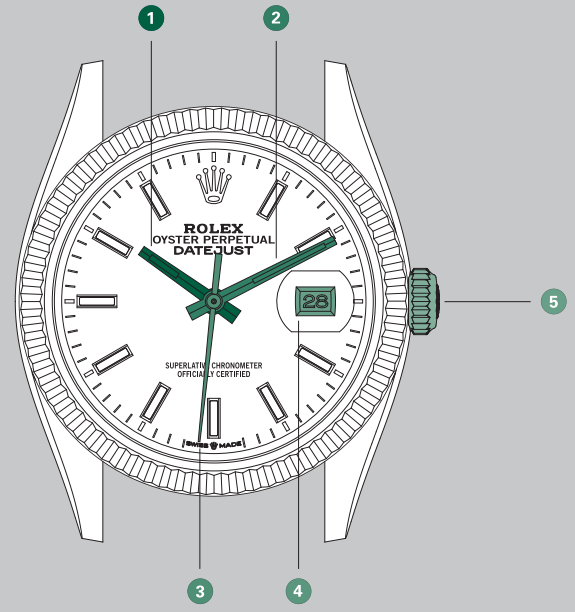 overview_rolex_oyster_perpetual_datejust_watch_126200.png