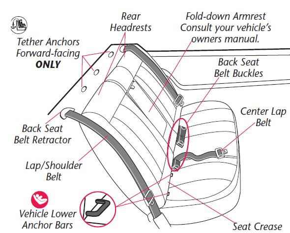 visual_glossary_evenflo_car_seat_chase_select_lx.png