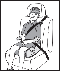 without_backrest_evenflo_big_kid_car_booster_seat.png